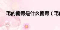 毛的偏旁是什么偏旁(毛的偏旁是啥呢)