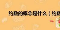 約數的概念是什么(約數概念是什么)