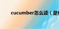 cucumber怎么讀(是什么意思呢)