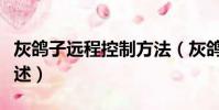 灰鴿子遠程控制方法(灰鴿子遠程控制方法簡述)