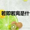 若即若離是什么意思啊（若即若離意思介紹）