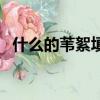 什么的葦絮填合適詞語（形容蘆葦的詞語）