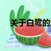 關于白鷺的資料（關于白鷺的資料簡介）