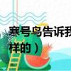 寒號鳥告訴我們什么道理（寒號鳥的故事是怎樣的）