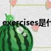 exercises是什么意思（exercises怎么解釋）