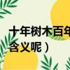 十年樹木百年樹人的樹是什么意思（樹有什么含義呢）