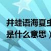 井蛙語海夏蟲語冰的意思（井蛙語海夏蟲語冰是什么意思）