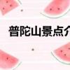 普陀山景點介紹（普陀山風景名勝區簡介）