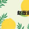 趙薇資料簡介（趙薇的介紹）