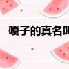 嘎子的真名叫什么（小兵張嘎真名叫什么）
