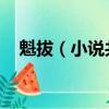 魁拔（小說共有幾本 魁拔小說故事簡介）