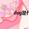 dsg是什么意思汽車（dsg介紹）