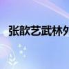張歆藝武林外傳飾演什么角色（主演是誰）