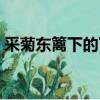 采菊東籬下的下一句（下一句是悠然見南山）