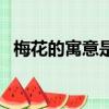 梅花的寓意是什么意思（梅花的象征意義）