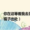 你在這等著我去買幾個橘子什么梗（你在這等著我去買幾個橘子出處）