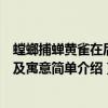 螳螂捕蟬黃雀在后的故事及寓意（螳螂捕蟬黃雀在后的故事及寓意簡單介紹）