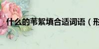 什么的葦絮填合適詞語(形容蘆葦的詞語)