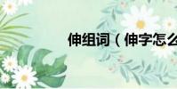 伸組詞(伸字怎么組詞)