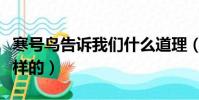 寒號鳥告訴我們什么道理(寒號鳥的故事是怎樣的)