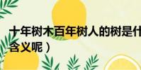 十年樹木百年樹人的樹是什么意思(樹有什么含義呢)