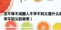 玉不琢不成器人不學不知義是什么意思(玉不琢不成器人不學不知義的意思)