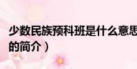 少數民族預科班是什么意思(少數民族預科班的簡介)
