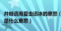 井蛙語海夏蟲語冰的意思(井蛙語海夏蟲語冰是什么意思)