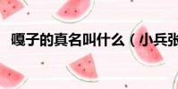 嘎子的真名叫什么(小兵張嘎真名叫什么)