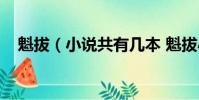 魁拔(小說共有幾本 魁拔小說故事簡介)