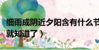 細雨成陰近夕陽含有什么節令(看完這個解析就知道了)