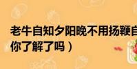 老牛自知夕陽晚不用揚鞭自奮蹄是什么意思(你了解了嗎)