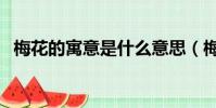 梅花的寓意是什么意思(梅花的象征意義)