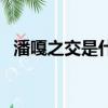 潘嘎之交是什么梗出自哪（潘嘎之交起源）