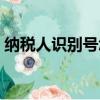 納稅人識別號怎么查（納稅人識別號如何查）