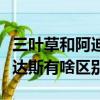 三葉草和阿迪達斯有什么區別（三葉草和阿迪達斯有啥區別）