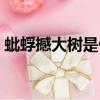 蚍蜉撼大樹是什么意思（什么是蚍蜉撼大樹）