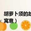 胡蘿卜須的故事寓意（胡蘿卜須的故事有什么寓意）