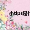 小tips是什么意思（小tips解釋含義）