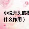 小說開頭的楔子是什么意思（楔子在小說中起什么作用）