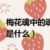 梅花魂中的魂是什么意思（梅花魂中的魂意思是什么）
