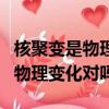 核聚變是物理變化還是化學變化（核聚變均為物理變化對嗎）