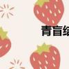 青盲結局（青盲結局是什么）