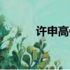 許申高作者簡介（許申高介紹）