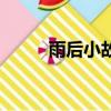 雨后小故事（有關雨后的小故事）