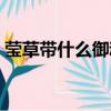 瑩草帶什么御魂（陰陽師瑩草御魂搭配推薦）