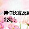 待你長發及腰時下一句是什么（待你長發及腰出處）