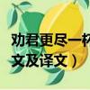 勸君更盡一杯酒是哪首詩（勸君更盡一杯酒原文及譯文）