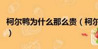 柯爾鴨為什么那么貴(柯爾鴨貴重的三個原因)