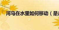 河馬在水里如何移動(是走著還是游著)